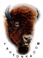 bison0.gif (14831 bytes)